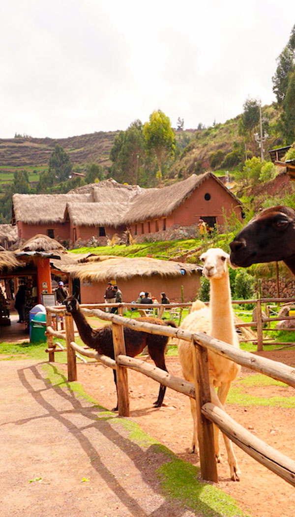 2D-1N-Sacred-Valley-Machu-Picchu